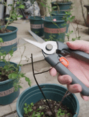 片手で綺麗に切れる！錆びにくく、軽い力でカットできるガーデニング用剪定バサミ【JM Gardening Tool】